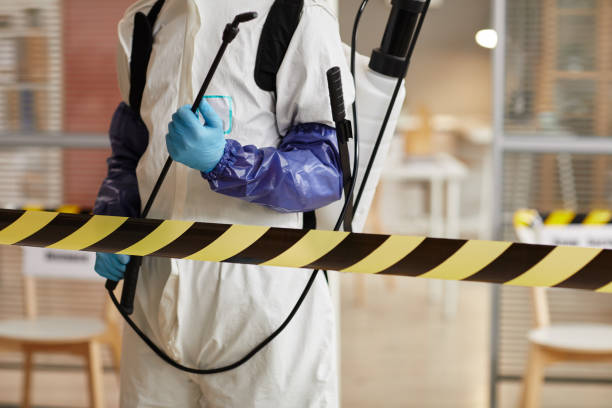 Professional Sewage Cleanup technician working in Russellville, IN